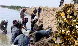 Fırat Nehri'nde Suların Çekildiği Yerlerde Bazı Gençler Altın Arıyor