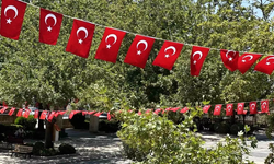 Cumhurbaşkanı Erdoğan'ın Sözleri Sonrası Siverek de Türk Bayraklarıyla Donatıldı