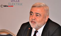 Dicle Elektrik Hizmet Bölgesinde Sürdürülebilir Geleceğe Katkı Sağlıyor