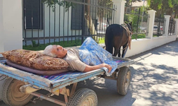 Suruç’ta Yatalak Hasta Bankaya At Arabasıyla Götürüldü!