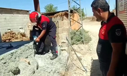 Harran'da İnşaat Betonu Arasında Sıkışıp Kalan 2 Yavru Kedi Böyle Kurtarıldı