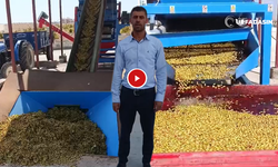 Birecik Fıstık İşletmelerinde Fiyat Listesi Açıklandı, Mesai Başladı