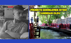 Viranşehir'den Mardin Beyazsu'ya Pikniğe Gittiler Gözyaşlarıyla Döndüler