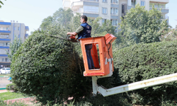Haliliye Belediyesi’nden Parklara Yenileme Ve Güzelleştirme Çalışması