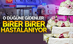 Suruç’ta Düğün Pastası Hastanelik Etti !