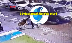 ŞUSKİ'nin Fatura Okumaya Giden Personeli Önce Tehdit Edildi Sonra Saldırıya Uğradı !