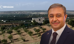 Tarım Arazileri Ranta Kurban Ediliyor Çiftçiler Üretimden Uzaklaşıyor
