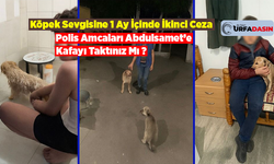 Birecik'te Psikiyatri Tedavisi Gören Çocuğa İkinci Kez Köpek Ceza Kesildi