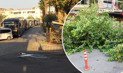 Ağaç Devrildi Yol Kapandı Trafik Allak Bulak Oldu !