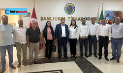 DEM Parti Barış Sürecini Şanlıurfa'da Her Kesime Anlatıyor