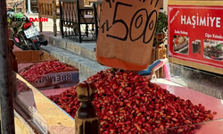 Şanlıurfa’da Fıstık Tezgahlara Öyle Bir İniş Yaptı ki Kimse Yanına Yaklaşamıyor