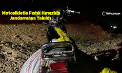 Şanlıurfa’da Fıstık Hırsızlığı Yapan 2 Kişiden Biri Tutuklandı