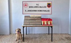 Şanlıurfa'da Çok Sayıda Gümrük Kaçağı Malzeme Ele Geçirildi
