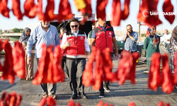 Şanlıurfa'da İsotu Kurutma Seferberiliği Başladı Denetimler Artırıldı