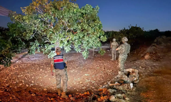 Şanlıurfa'da Jandarma Fıstık Nöbetinde !