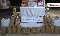 Şanlıurfa Jandarmadan Eğitimli Dedektör Köpeklerle Tütün Operasyonu