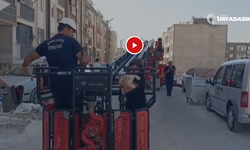 Kedisini Mahsur Kaldığı Yerden İtfaiye İle Birlikte Kurtardı