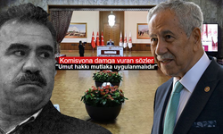 Milli Dayanışma, Kardeşlik ve Demokrasi Komisyonunda Neler Konuşuldu