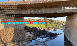 Şanlıurfa Kırsalındaki Bu Köprü Yıkıldı Yıkılacak!