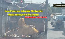 Trafikteki Bu Görüntü Ne Hindistan'dan Ne de Pakistan'dan ! Urfa'dan