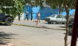 Şanlıurfa'nın Teksas İlçesi Viranşehir'de Yine Silahlar Patladı: 1'i Ağır 4 Yaralı