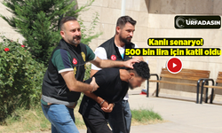 Siverek'ten Afyon Karahisar'a Uzanan Cinayetin Parde Arkası