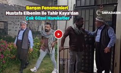 Şanlıurfa'daki Kavgalar Fenomenlerin Diline Düştü!