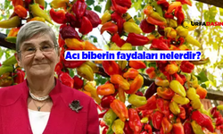 Canan Karatay'a Göre Şanlıurfa'nın Olmazsa Olmazı İsot'un En Sağlıklısı Kurutulmuşu