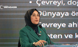 Milletvekili Yazmacı, Çevre Ve Şehircilik Politikaları Başkan Yardımcılığı Görevine Yeniden Getirildi