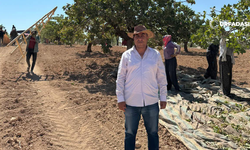 AK Parti Birecik İlçe Eski Başkanı Halil Yavuz'dan Fıstık İthalatına Tepki