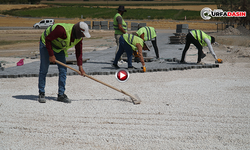 Haliliye’de Kırsala Hizmet Seferberliği