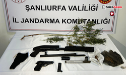 Şanlıurfa’nın 5 İlçesinde Narkotik Operasyonu: 42 Gözaltı