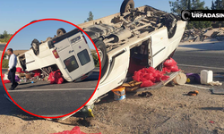 Şanlıurfa'da İşçileri Taşıyan Minibüs Devrildi Yaralılar Var