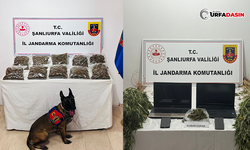 Şanlıurfa'da Jandarmadan Operasyon Üstüne Operasyon