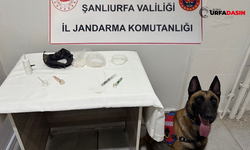 Şanlıurfa’da Torbacı Operasyonu: Gözaltına Alındılar