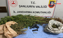 Jandarmadan 6 İlçede Zehir Tacirlerine Operasyon: 8 Gözaltı