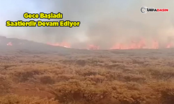 Karacadağ'da Büyük Yangın
