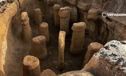 Karahantepe, Göbeklitepe'yi Bile Gölgede Bıraktı