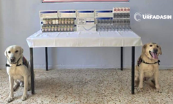 Şanlıurfa'da Bin 30 Paket Ele Geçirildi