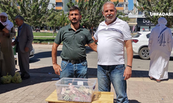 Viranşehir TOKİ Kuran Kursu için Camilerde Yardım Toplandı