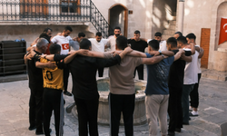 Bağımlılık İle Mücadelede Şanlıurfa Örneği: Liman Ayık Yaşam Derneği