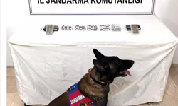 Şanlıurfa'da Jandarmanın Narkotik Operasyonları Hız Kesmeden Devam Ediyor