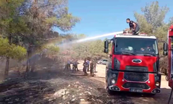 Şanlıurfa'da Orman Yangını Söndürüldü Ama Nedeni Belli Olmadı