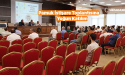 Şanlıurfa'da Pomuk İstişare Toplantısında Pamuk Derneği Kurma Kararı Alındı