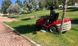Eyyübiye'de Park ve Yeşil Alanlarda Bakım Çalışması