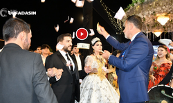 Şanlıurfa'da Şeddadi Aşiretinin Düğününde Dolarlar Havada Uçuştu