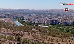 Şanlıurfa'nın Yeni Seyir Tepesi Manzarasyla Dikkatleri Çekiyor