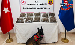 Şanlıurfa Bir Evde Ele Geçirildi: 6 Kişi Tutuklandı
