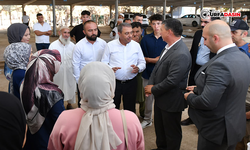 Vali Şıldak, Ceylanpınar'ı Ziyaret Etti, Ayçiçek Hasadına Katıldı