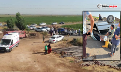 Şanlıurfa’da Çarpışan Otomobillerden Biri Devrildi: 1 Ağır Yaralı